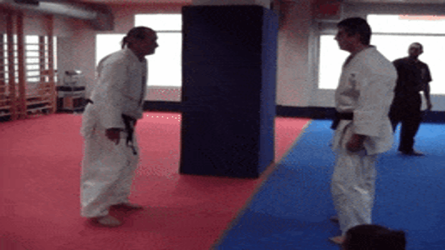 Krav Maga