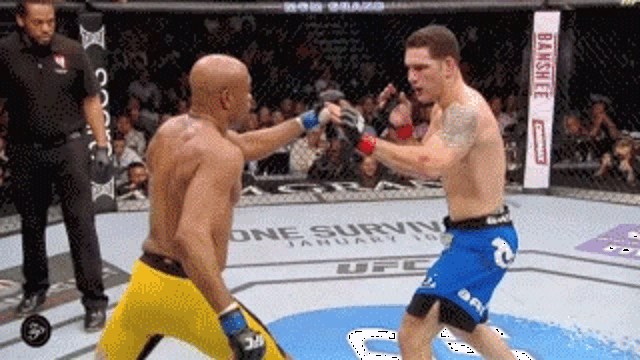 luta de mma
